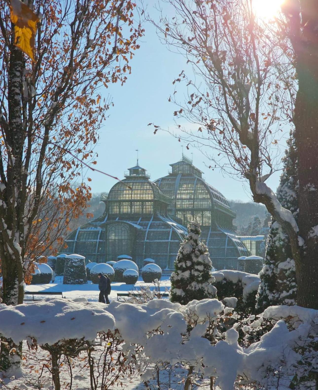 Ostello Royal Retreat - Steps From Schoenbrunn Palace!! Vienna